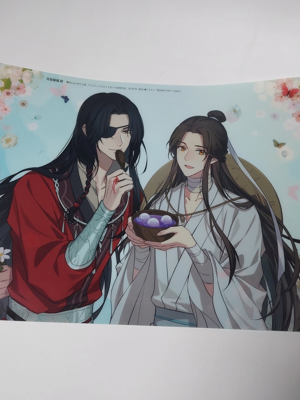Heaven Official's Blessing Clear File Official MDZS - MXTX
